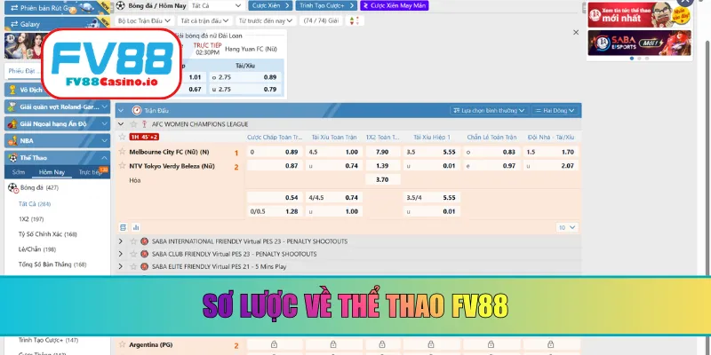 Sơ lược về thể thao FV88